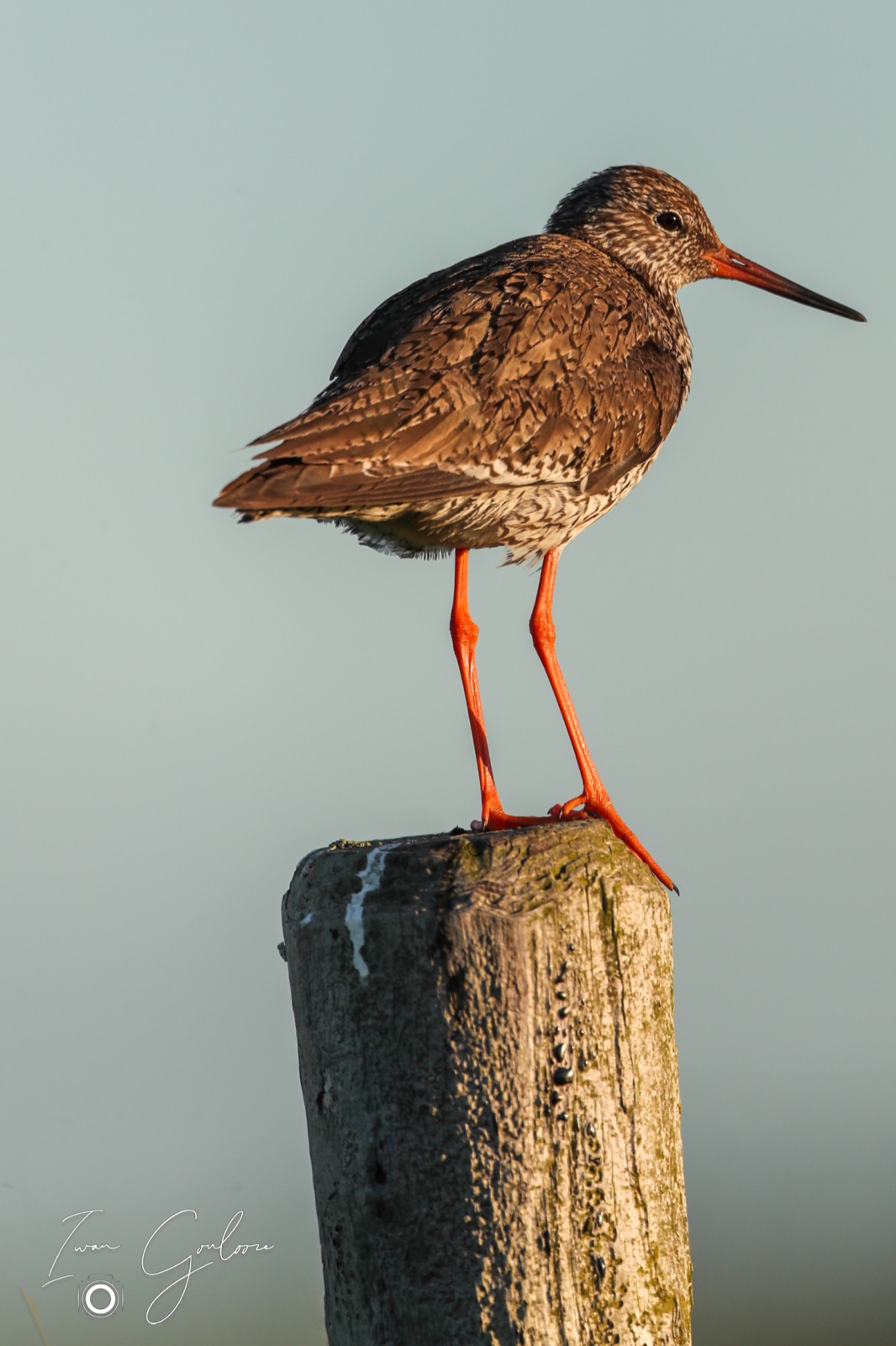 11 juni 2022 205734 1DX47102